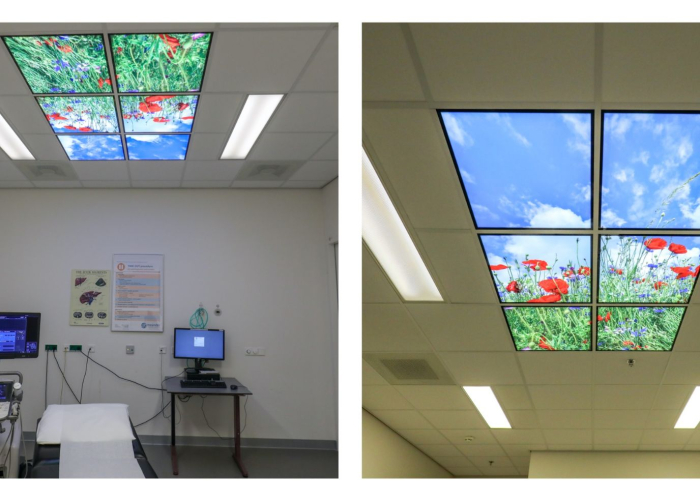 Plafondpanelen echokamer