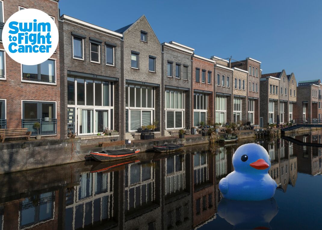 Opbaarwiegje voor baby's